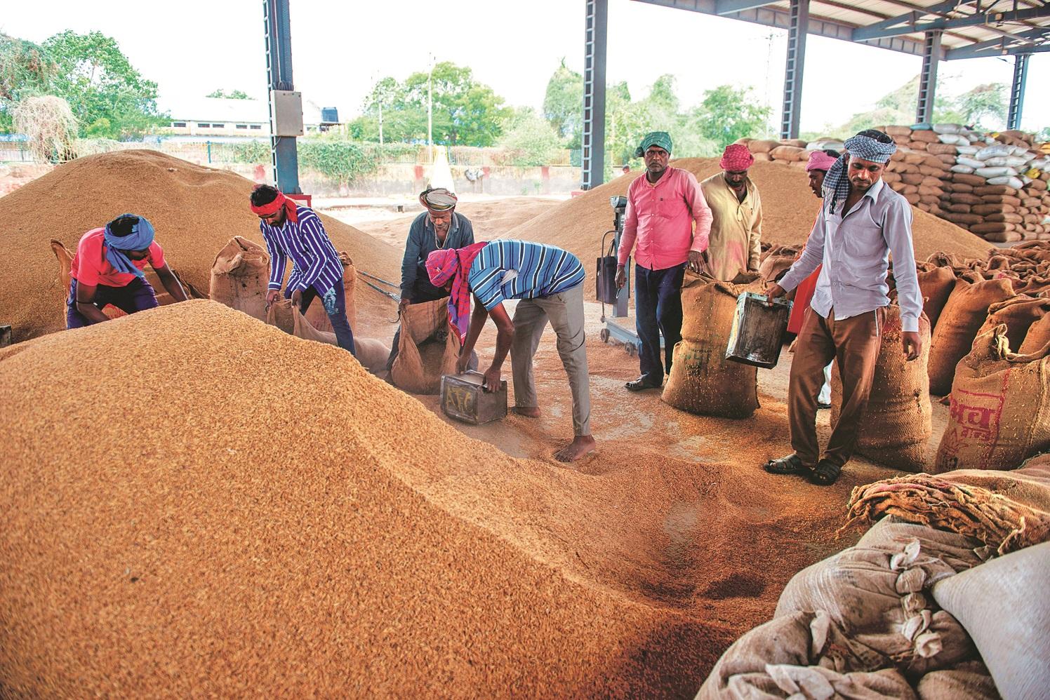 Paddy Procurement