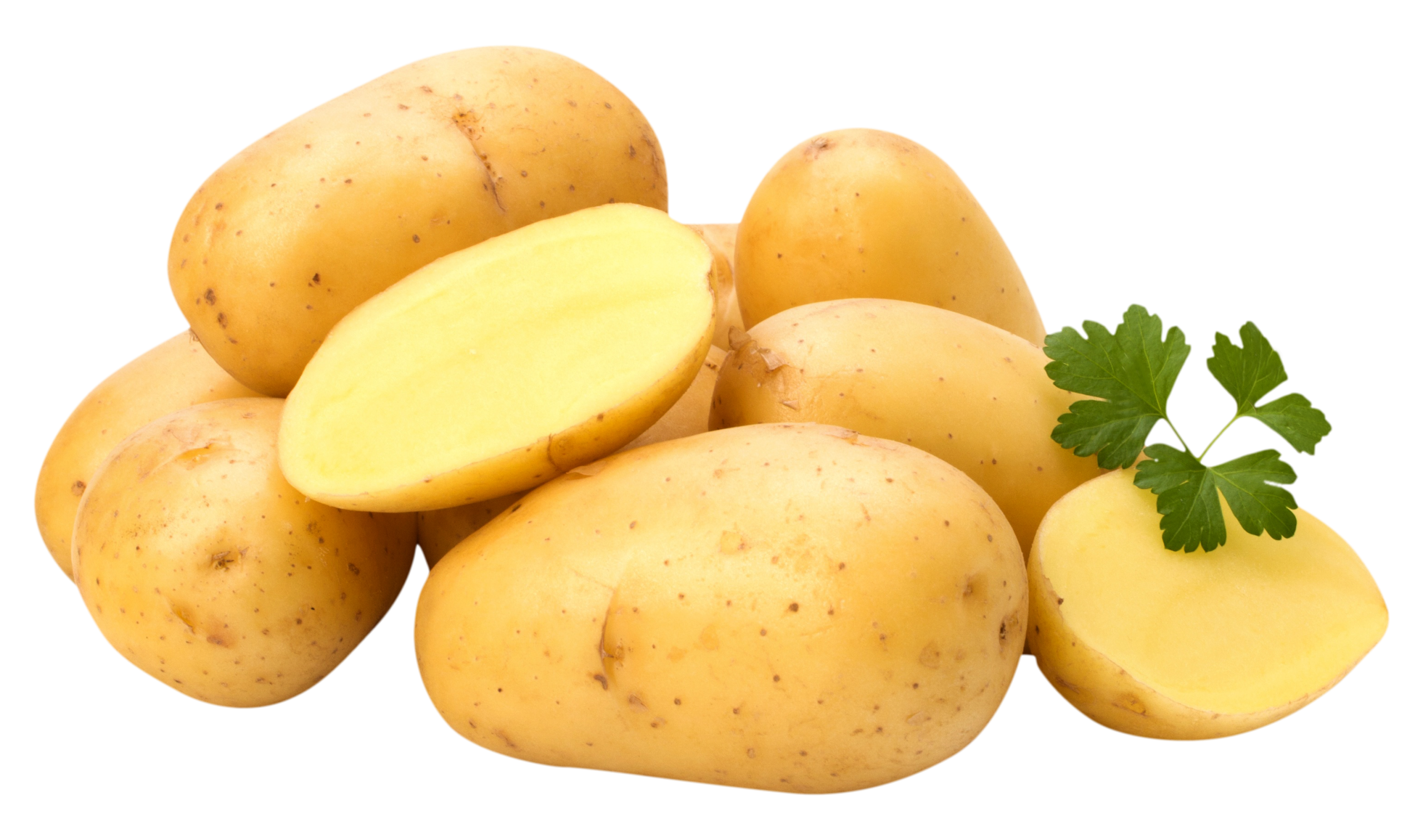 Potato Bond Trading